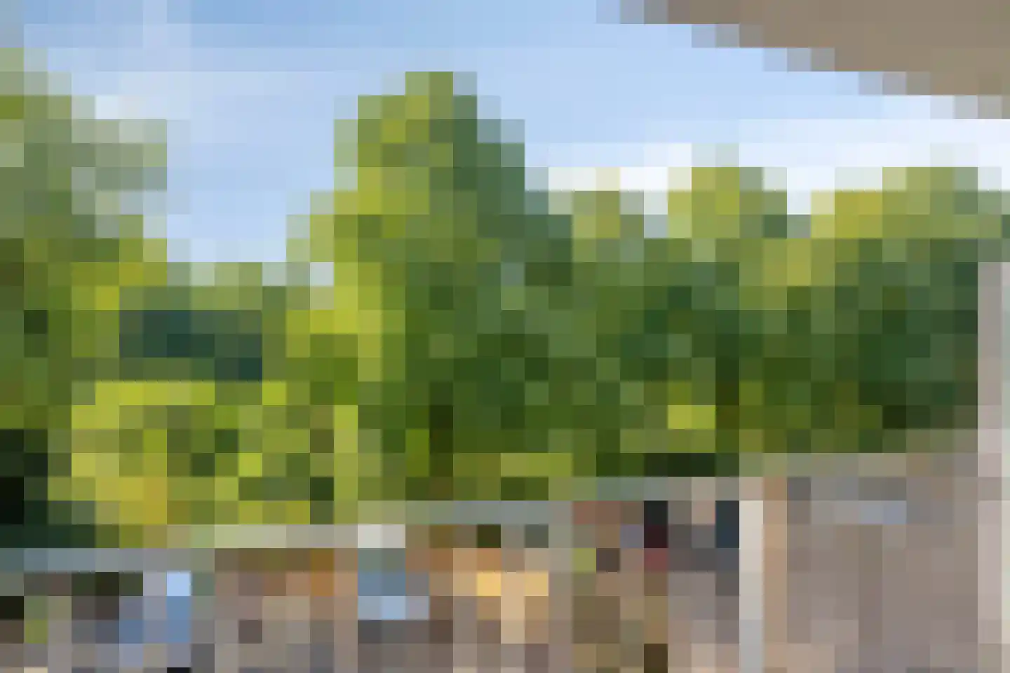 Sibeliuspark 763 Oss thumbnail 21