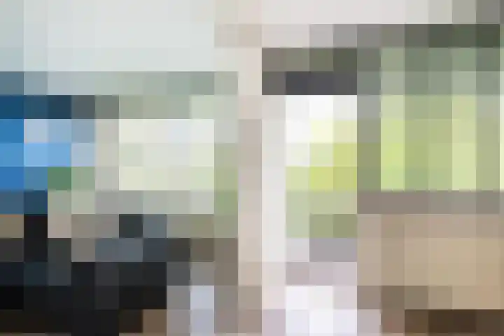 Sibeliusplein 110 Schiedam thumbnail 18