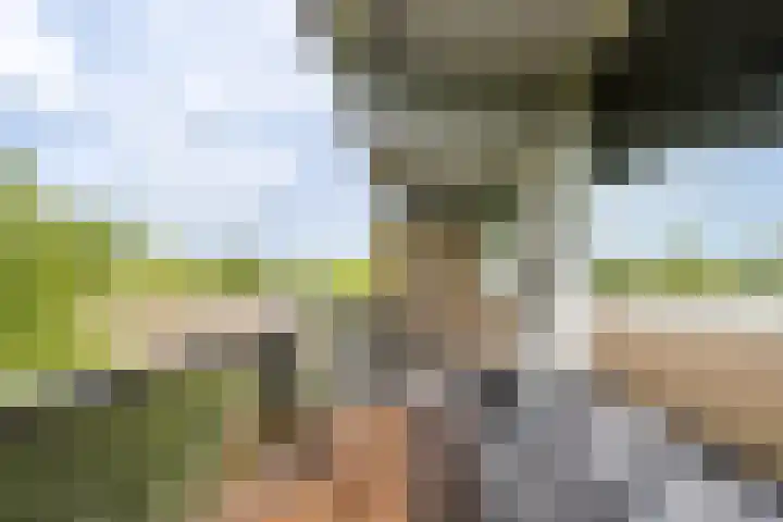 Sibeliusplein 110 Schiedam thumbnail 19