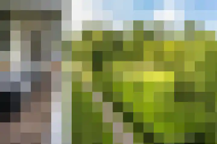 Sibeliusplein 110 Schiedam thumbnail 21