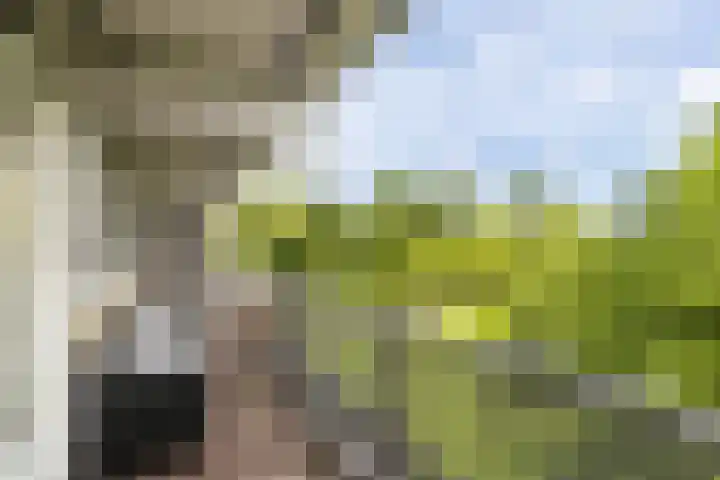 Sibeliusplein 110 Schiedam thumbnail 22