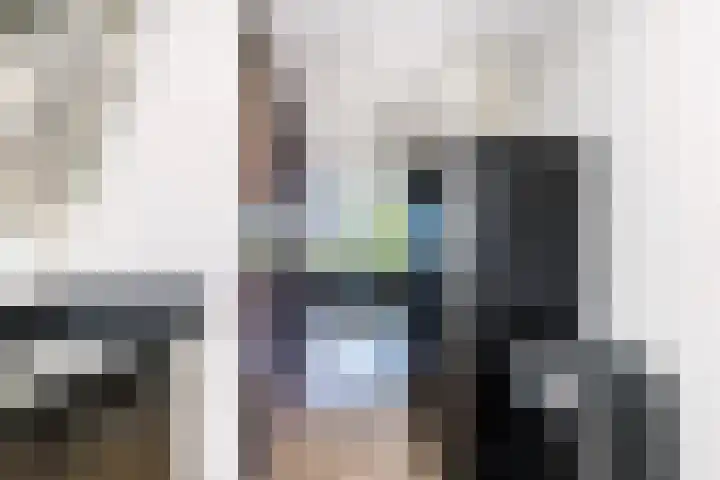 Sibeliusplein 110 Schiedam thumbnail 27