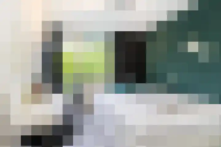 Sibeliusplein 110 Schiedam thumbnail 33