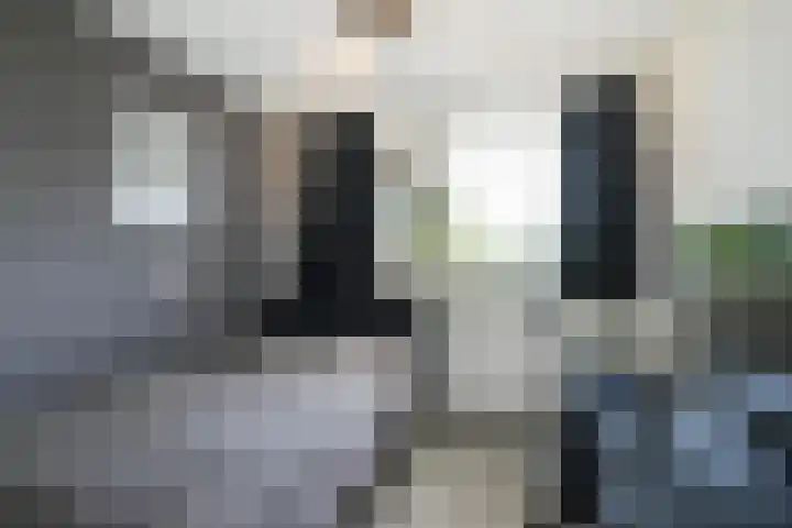 Sibeliusplein 110 Schiedam thumbnail 37