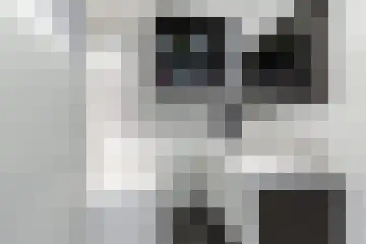 Sibeliusplein 110 Schiedam thumbnail 38