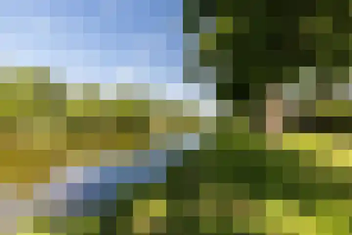 Sibeliusplein 110 Schiedam thumbnail 44