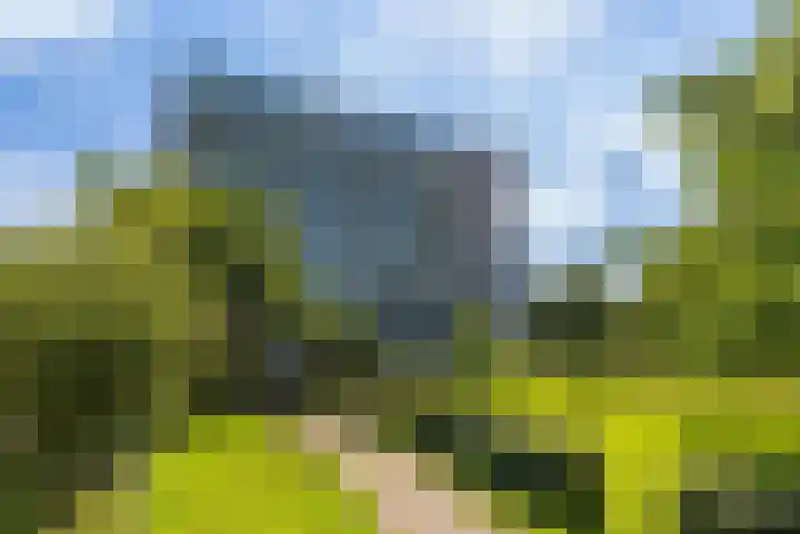 Sibeliusplein 110 Schiedam thumbnail 5