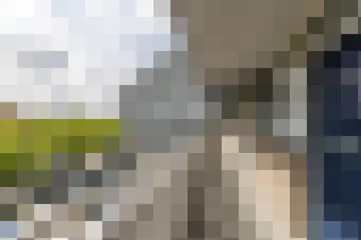 Sibeliusplein 110 Schiedam thumbnail 7