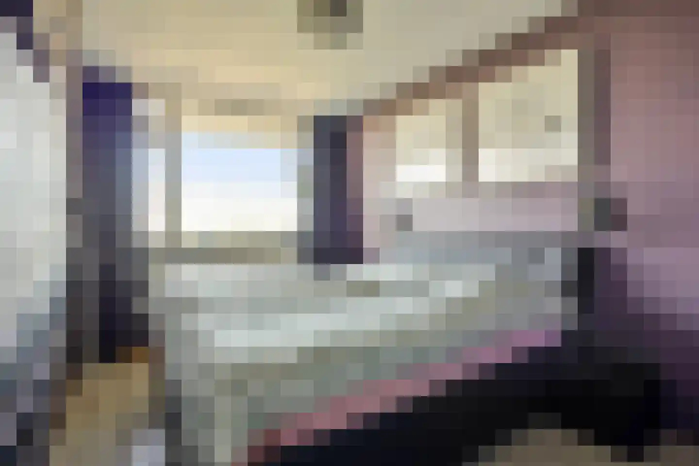 Sibeliusplein 208 Schiedam thumbnail 17