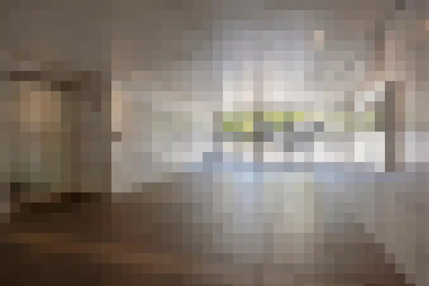 Sibeliusplein 208 Schiedam thumbnail 30
