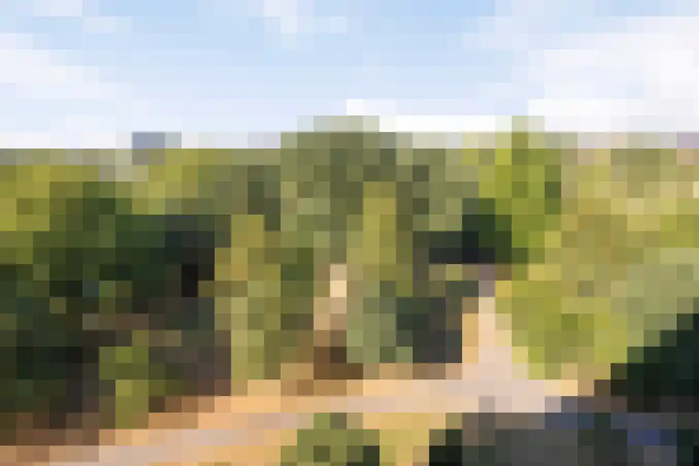 Sibeliusplein 208 Schiedam thumbnail 33
