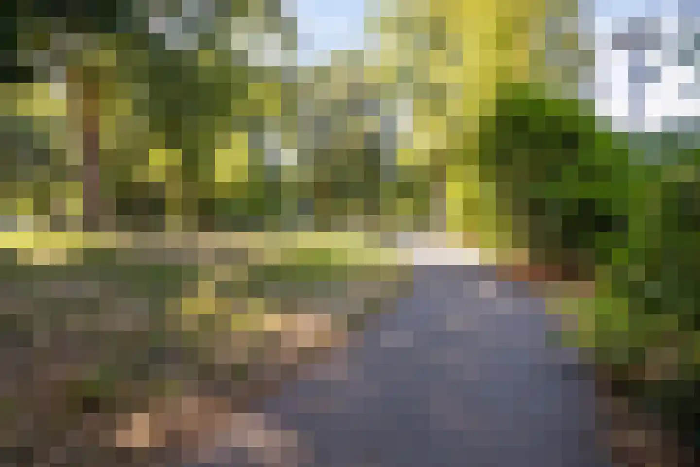 Sibeliusplein 208 Schiedam thumbnail 34
