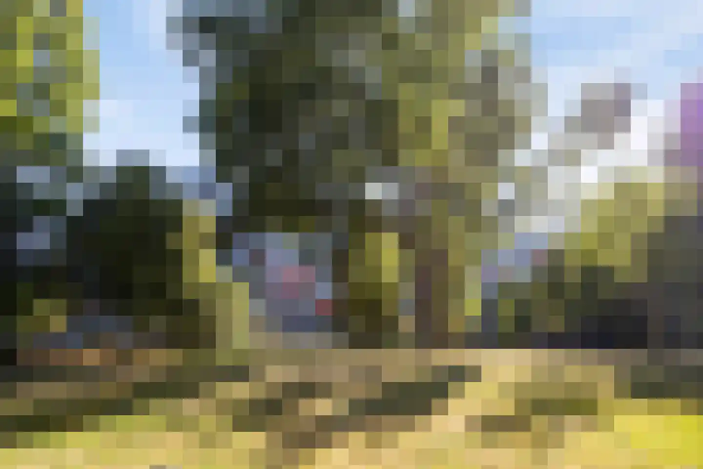Sibeliusplein 208 Schiedam thumbnail 35
