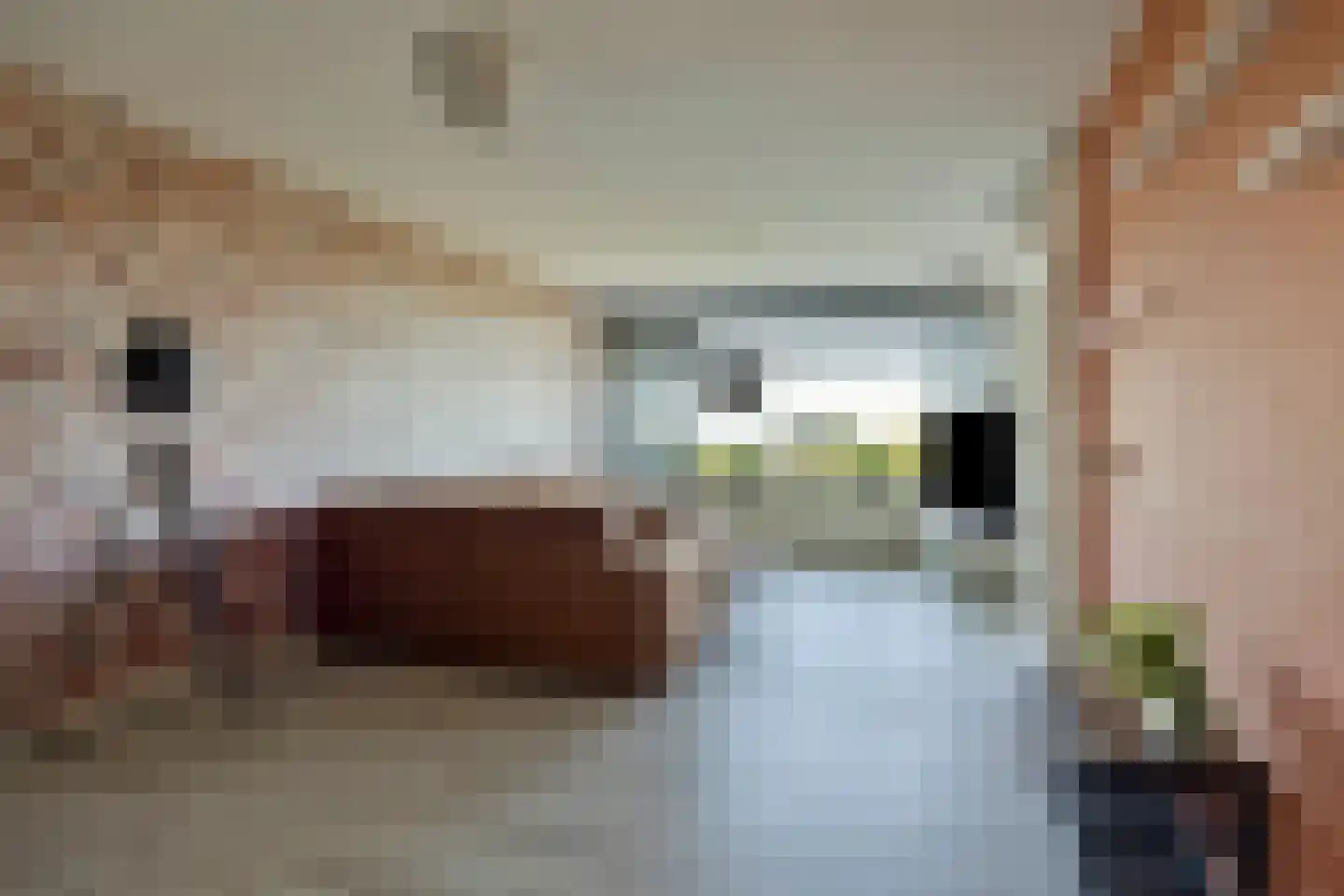 Sibeliusplein 208 Schiedam thumbnail 5