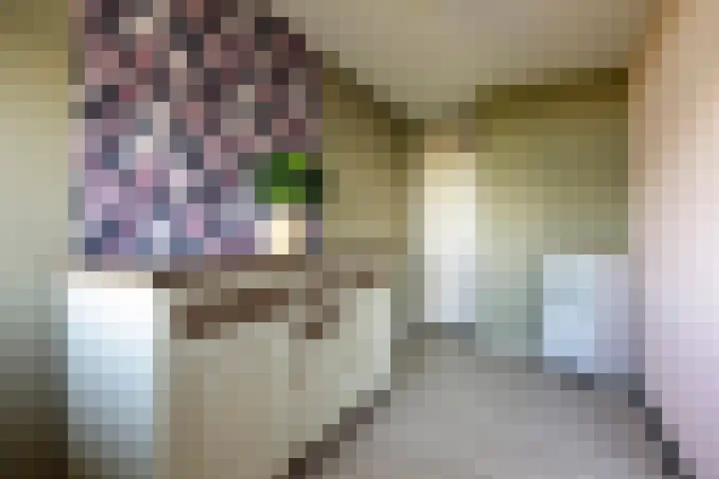 Sibeliusplein 208 Schiedam thumbnail 8