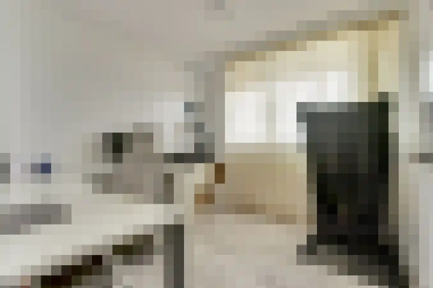 Sibeliusplein 223 Schiedam thumbnail 24