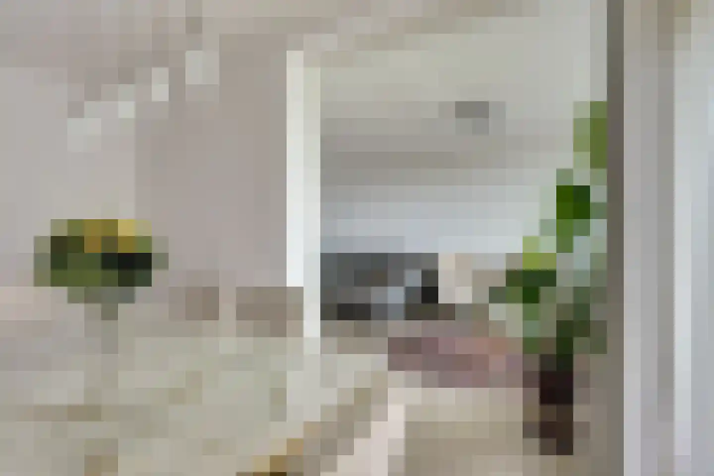 Sibeliusplein 223 Schiedam thumbnail 8