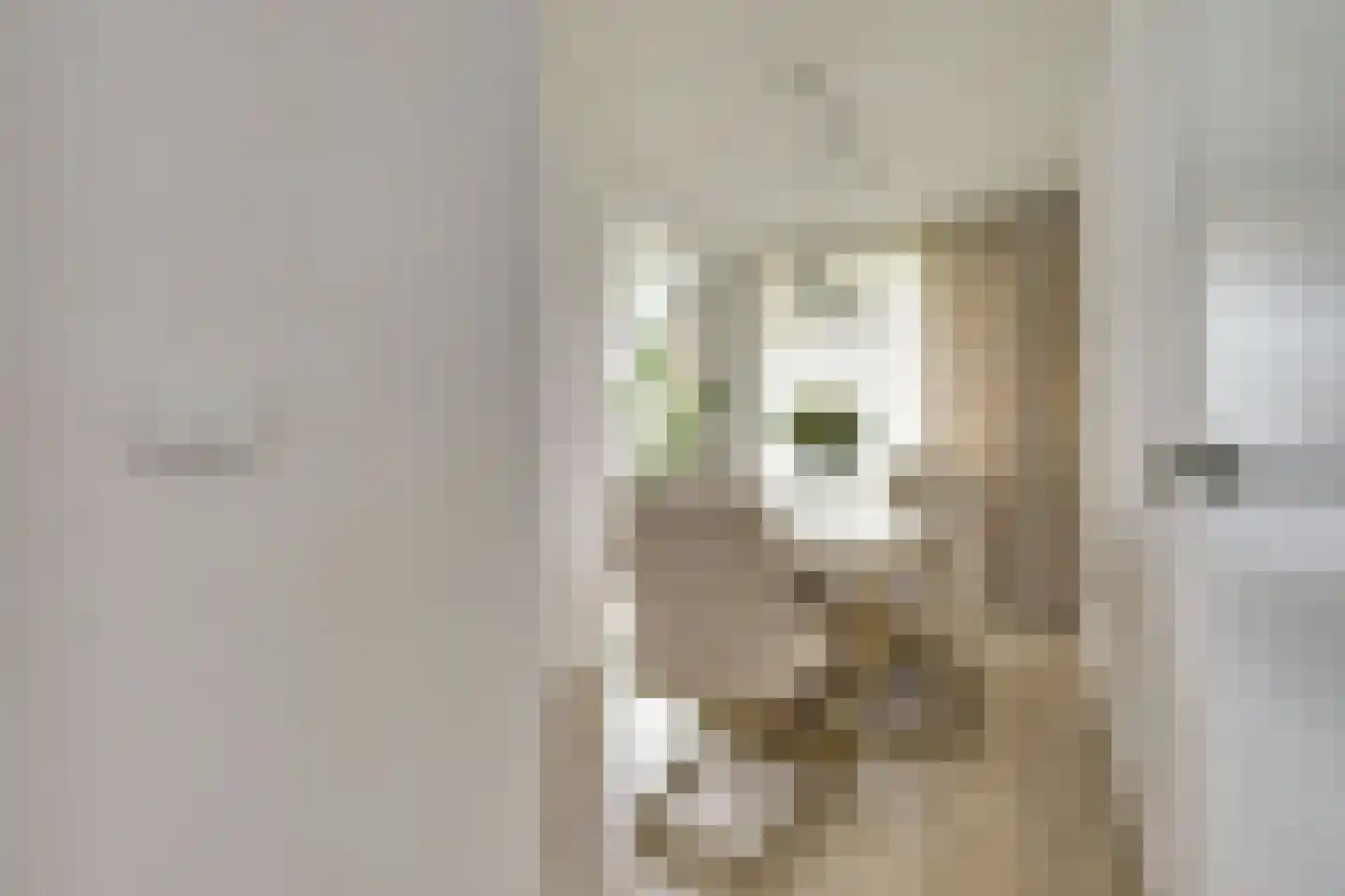 Sibeliusplein 223 Schiedam thumbnail 9
