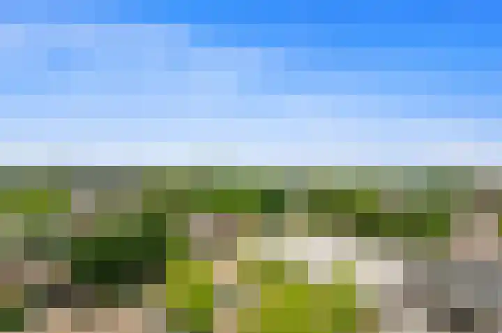 Sibeliusplein 227 Schiedam thumbnail 31
