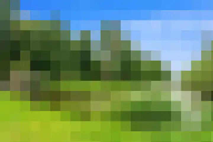 Sibeliusplein 227 Schiedam thumbnail 32