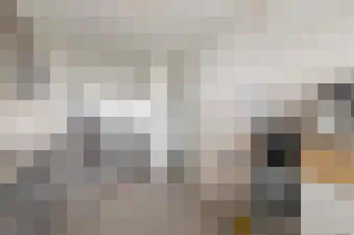 Sibeliusplein 227 Schiedam thumbnail 9