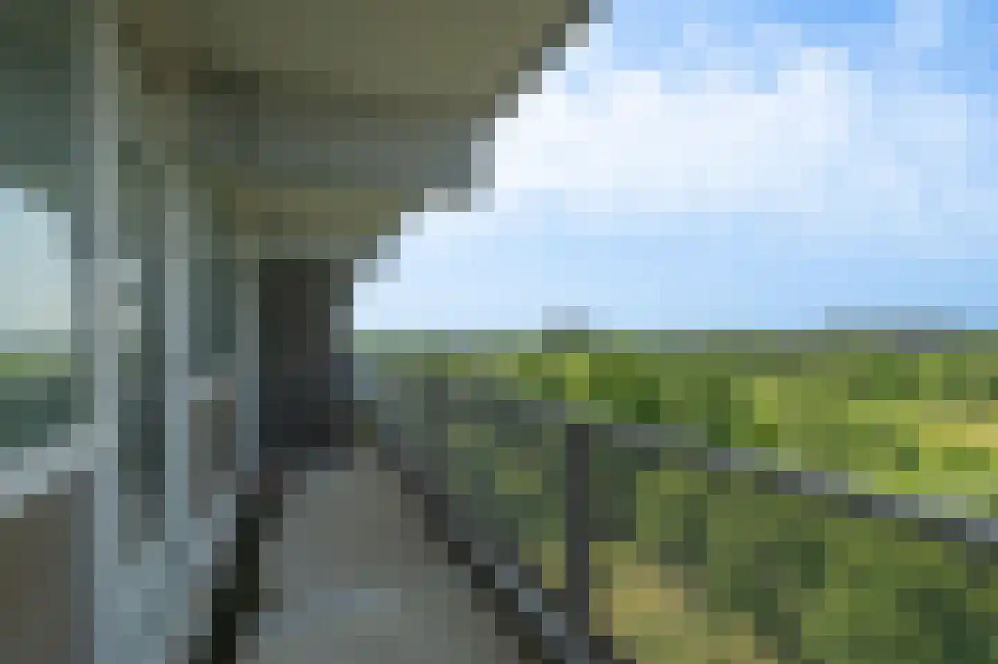 Sibeliusplein 257 Schiedam thumbnail 4
