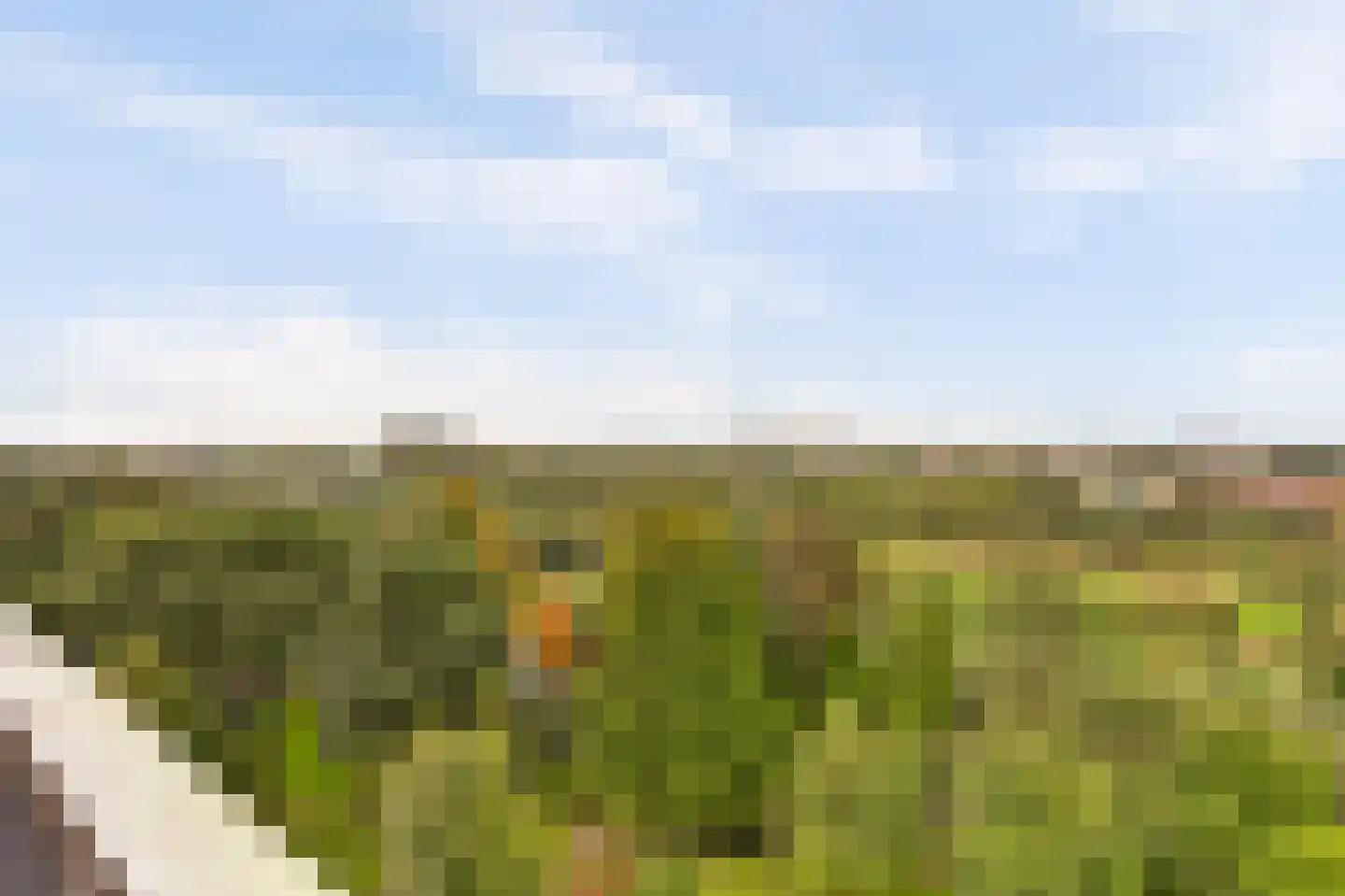 Sibeliusplein 275 Schiedam thumbnail 35
