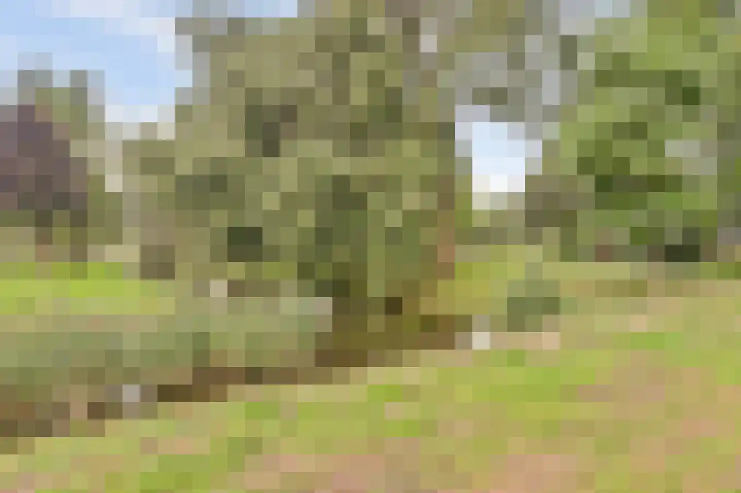 Sibeliusplein 275 Schiedam thumbnail 36