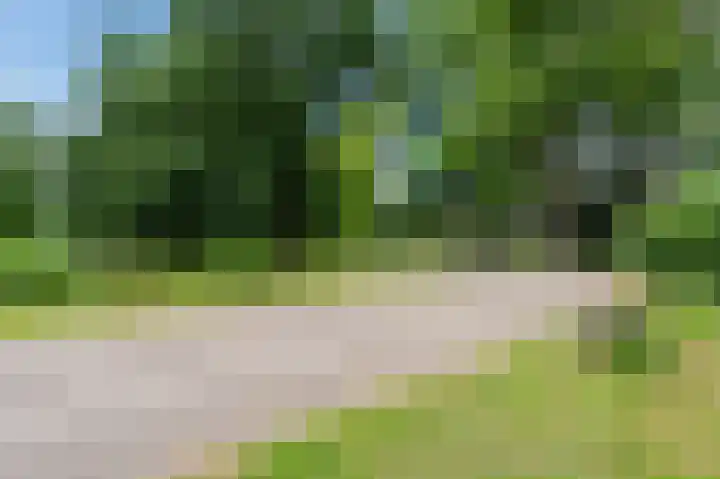 Sibeliusplein 31 Schiedam thumbnail 10