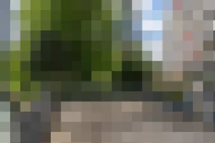 Sibeliusplein 31 Schiedam thumbnail 4
