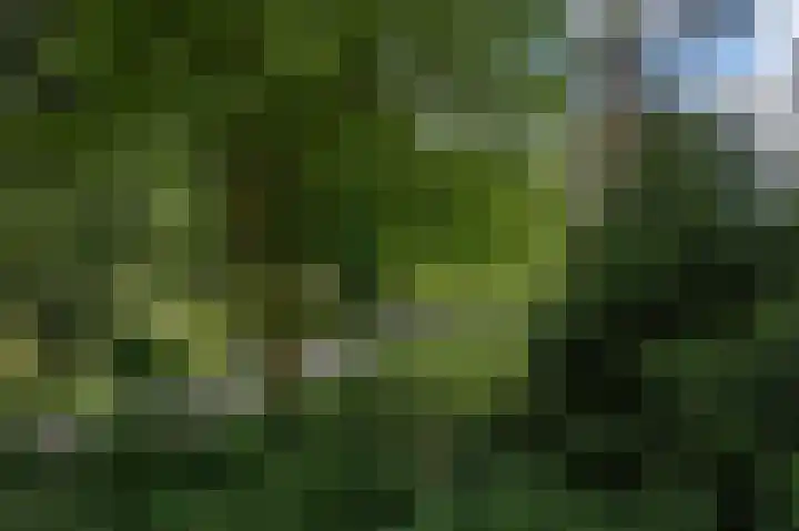 Sibeliusplein 31 Schiedam thumbnail 8