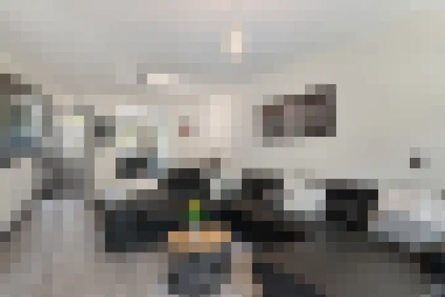 Sibeliusplein 56 Schiedam thumbnail 27