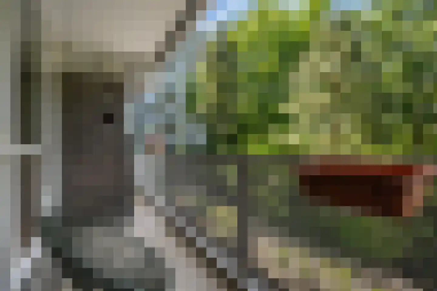 Sibeliusplein 56 Schiedam thumbnail 31