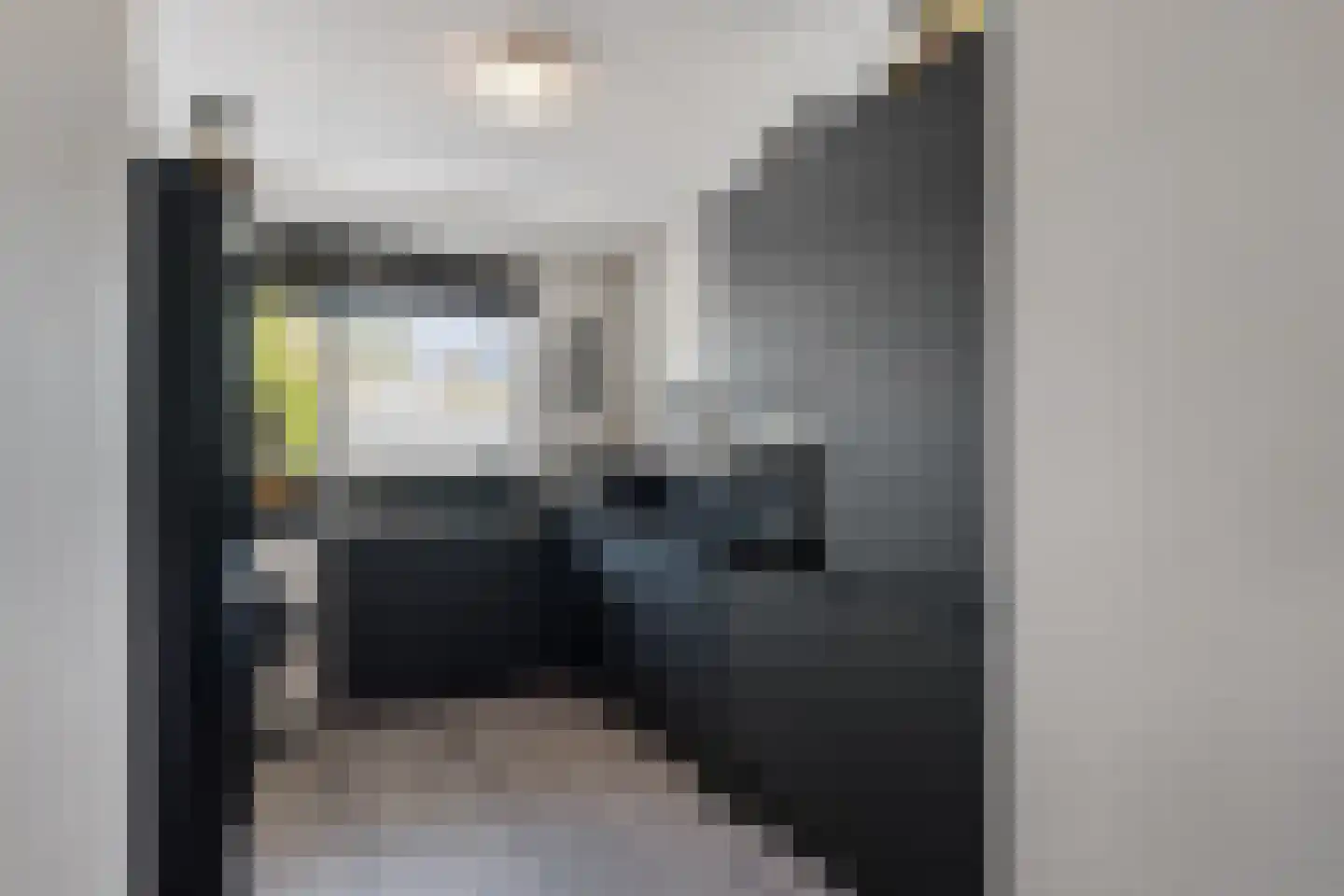 Sibeliusplein 56 Schiedam thumbnail 4