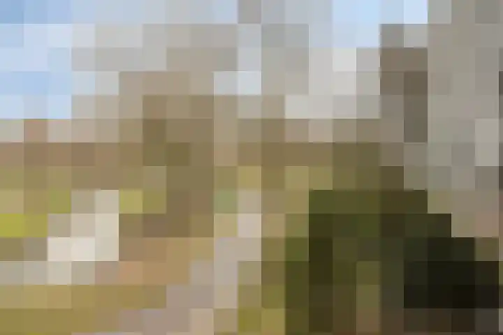 Sibeliusplein 72 Schiedam thumbnail 27