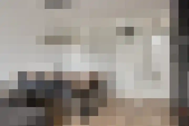 Sibeliusplein 72 Schiedam thumbnail 5