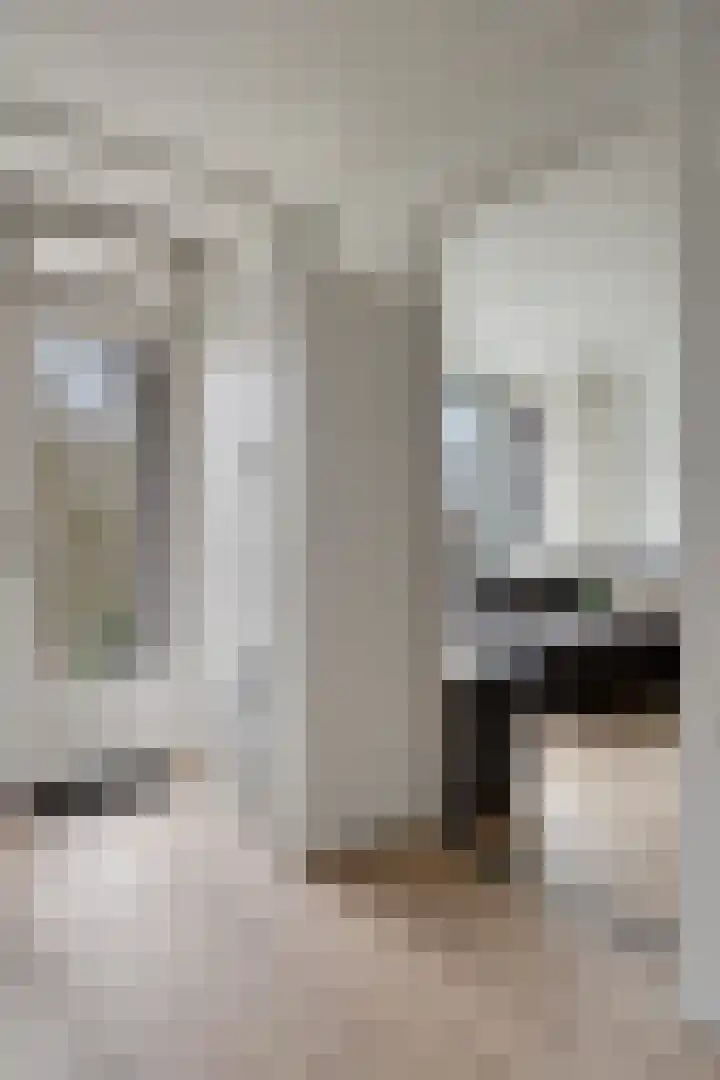 Sibeliusplein 72 Schiedam thumbnail 7