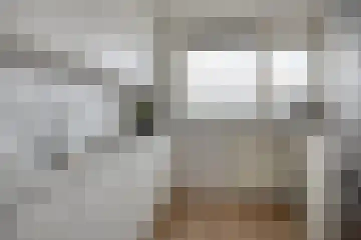 Sibeliusplein 72 Schiedam thumbnail 8