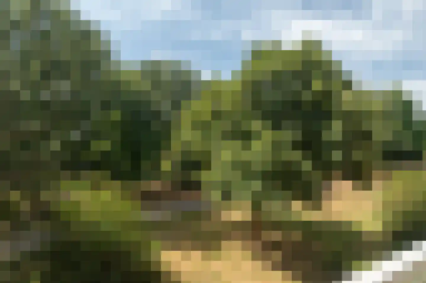 Sibeliusplein 77 Schiedam thumbnail 7