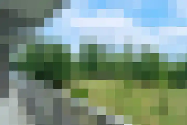 Sibeliusplein 87 Schiedam thumbnail 11