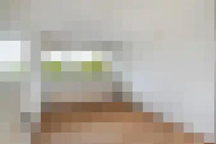 Sibeliusplein 87 Schiedam thumbnail 5