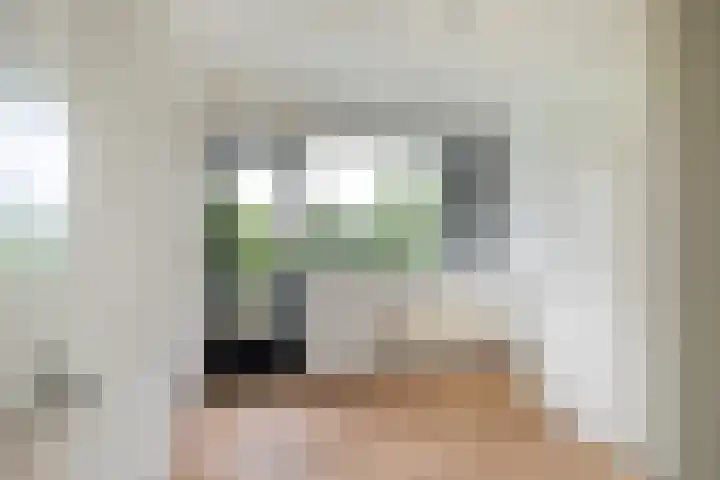 Sibeliusplein 87 Schiedam thumbnail 7