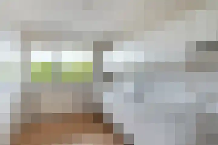 Sibeliusplein 87 Schiedam thumbnail 8