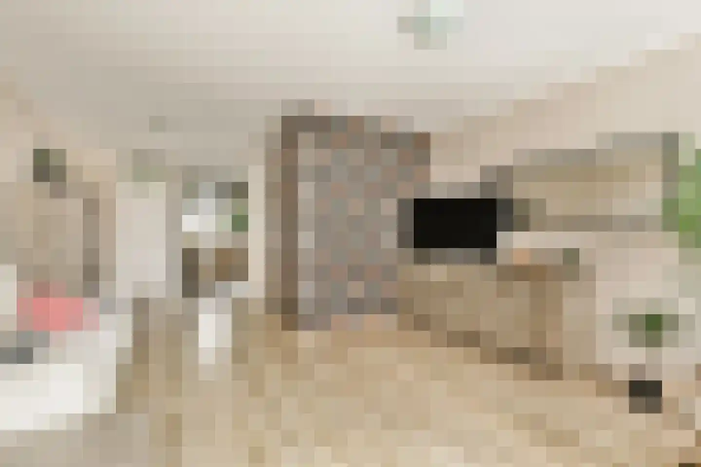 Sibeliusrode 32 Zoetermeer thumbnail 11