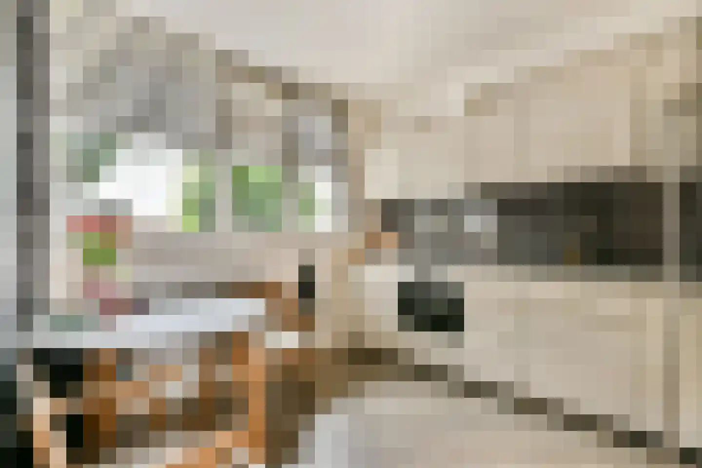 Sibeliusrode 32 Zoetermeer thumbnail 13