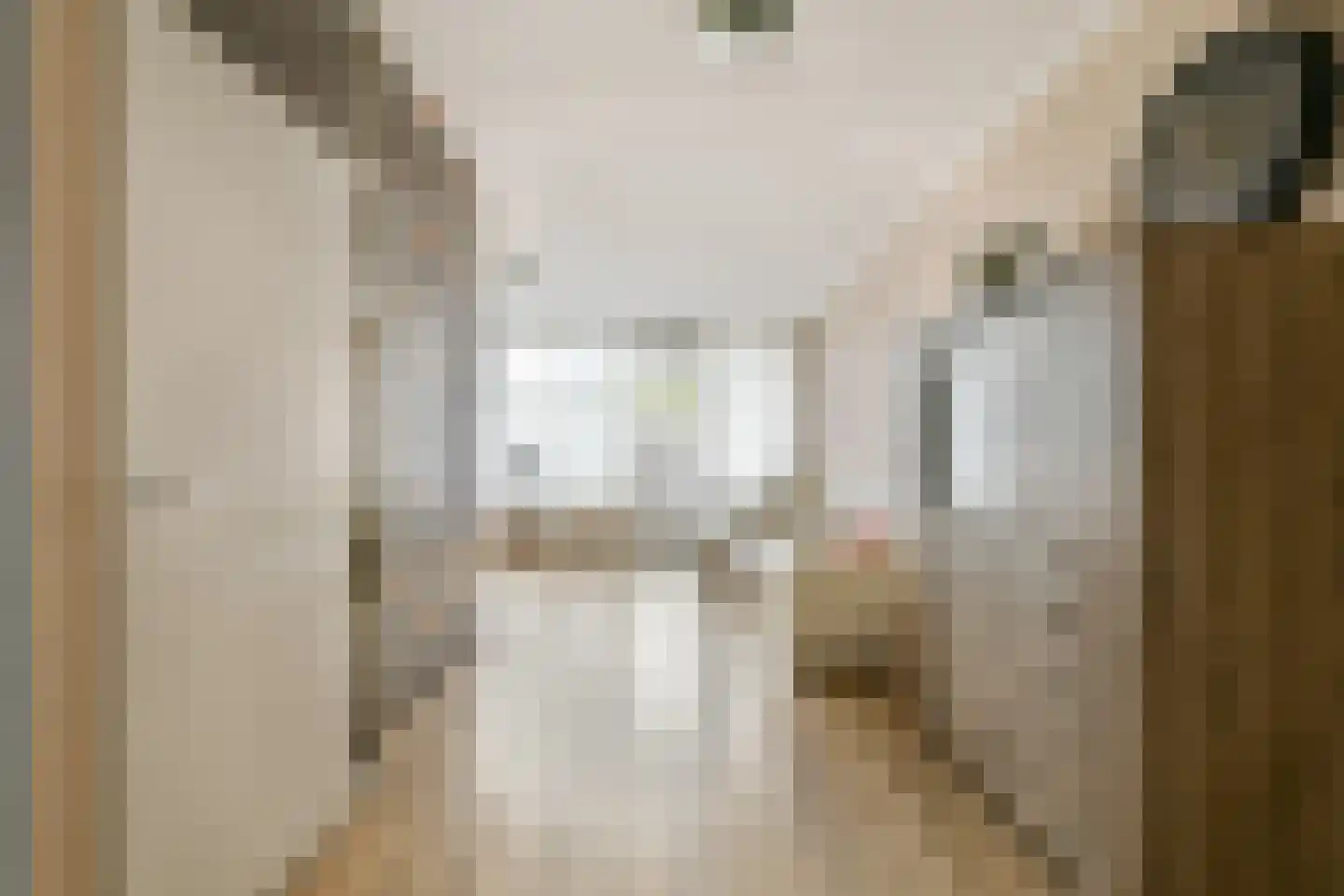 Sibeliusrode 32 Zoetermeer thumbnail 16