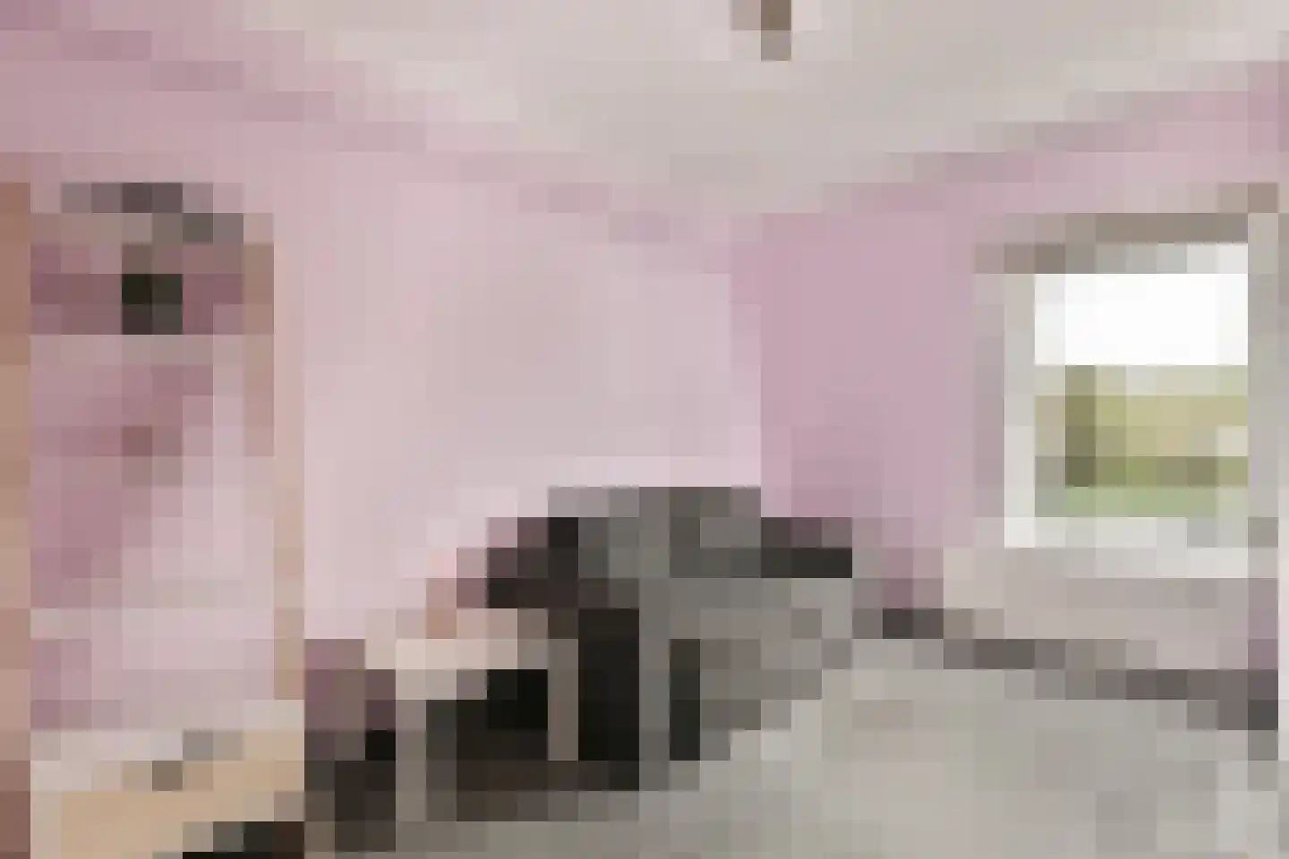 Sibeliusrode 32 Zoetermeer thumbnail 25