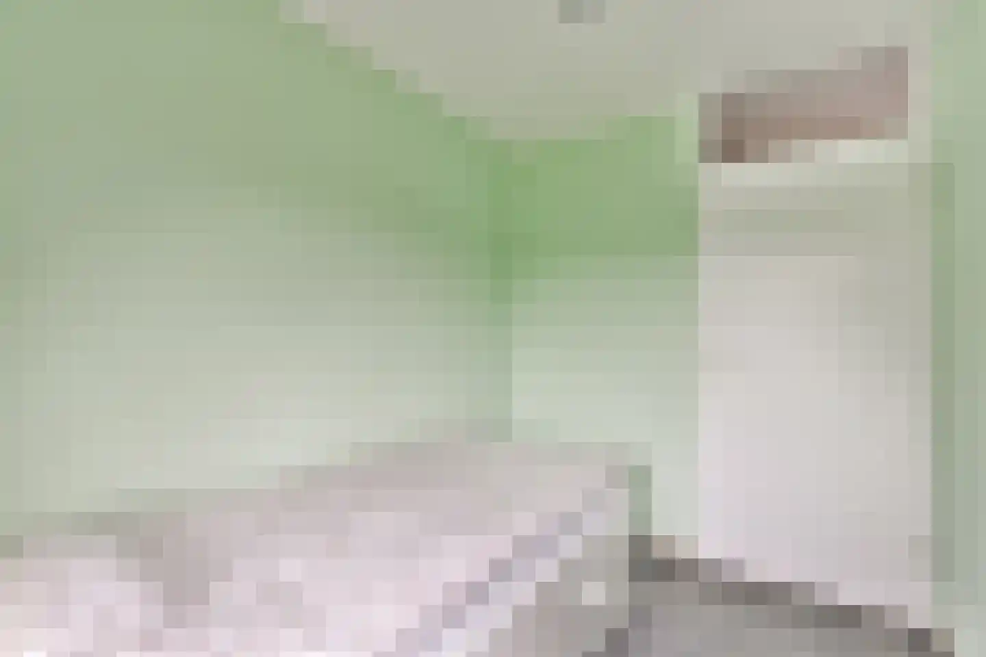 Sibeliusrode 32 Zoetermeer thumbnail 28