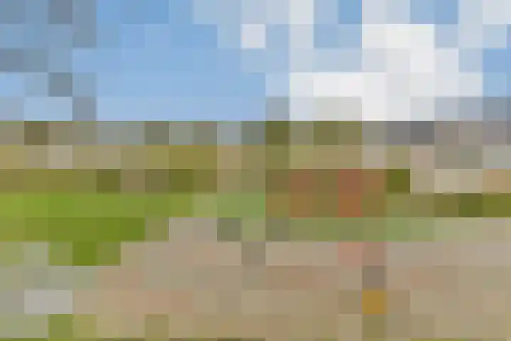 Sibeliusrode 32 Zoetermeer thumbnail 30