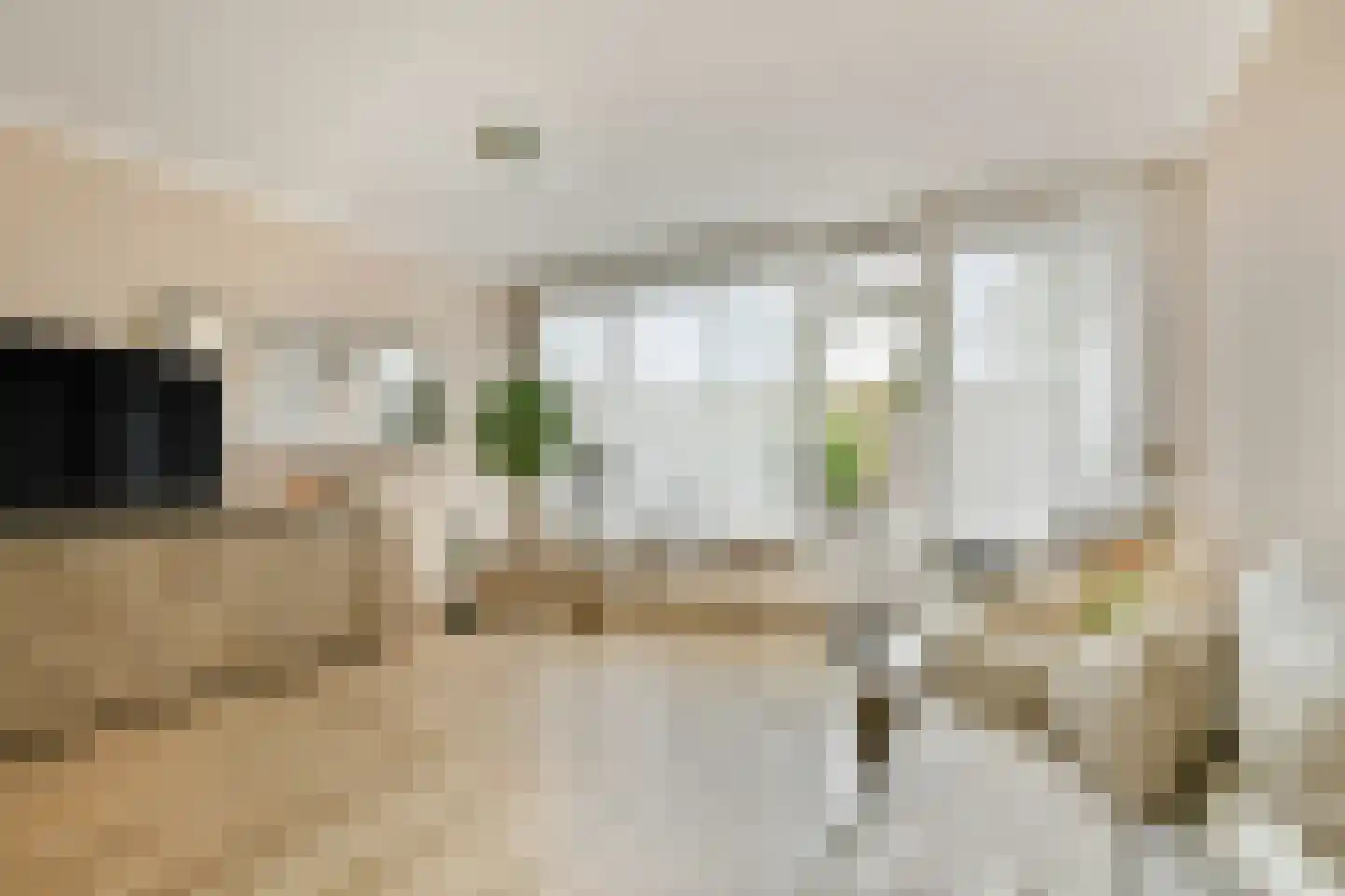 Sibeliusrode 32 Zoetermeer thumbnail 7